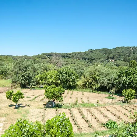 Vassilis Paradise Garden 3* Ájosz Jeórjosz Págon