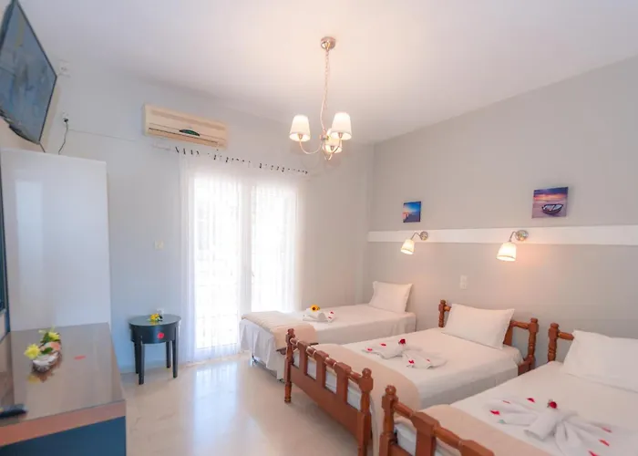 Vassilis Paradise Garden 3*