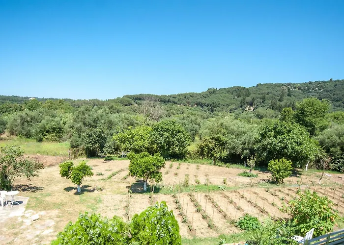 Vassilis Paradise Garden 3* Agios Georgios Pagon