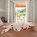 Szálloda Vassilis Paradise Garden Ájosz Jeórjosz Págon